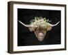 Highland-Kimberly Allen-Framed Art Print