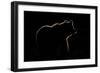 Highlight-Gorazd Golob-Framed Giclee Print