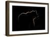 Highlight-Gorazd Golob-Framed Giclee Print