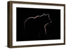 Highlight-Gorazd Golob-Framed Giclee Print