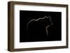 Highlight-Gorazd Golob-Framed Photographic Print