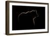 Highlight-Gorazd Golob-Framed Photographic Print