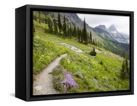 Highline Trail To Granite Park Chalet, Glacier National Park, Montana, USA-Jamie & Judy Wild-Framed Stretched Canvas