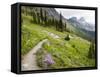 Highline Trail To Granite Park Chalet, Glacier National Park, Montana, USA-Jamie & Judy Wild-Framed Stretched Canvas