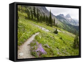 Highline Trail To Granite Park Chalet, Glacier National Park, Montana, USA-Jamie & Judy Wild-Framed Stretched Canvas