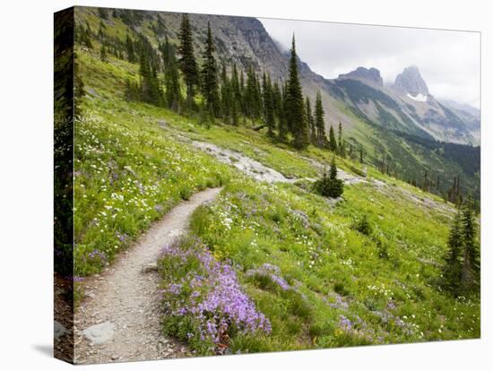 Highline Trail To Granite Park Chalet, Glacier National Park, Montana, USA-Jamie & Judy Wild-Stretched Canvas