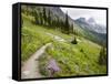 Highline Trail To Granite Park Chalet, Glacier National Park, Montana, USA-Jamie & Judy Wild-Framed Stretched Canvas