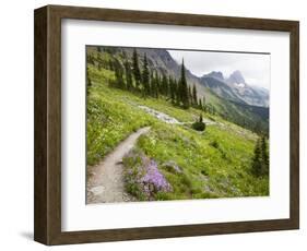 Highline Trail To Granite Park Chalet, Glacier National Park, Montana, USA-Jamie & Judy Wild-Framed Photographic Print