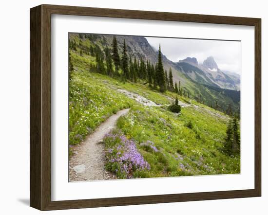 Highline Trail To Granite Park Chalet, Glacier National Park, Montana, USA-Jamie & Judy Wild-Framed Photographic Print