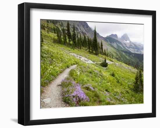 Highline Trail To Granite Park Chalet, Glacier National Park, Montana, USA-Jamie & Judy Wild-Framed Photographic Print