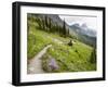 Highline Trail To Granite Park Chalet, Glacier National Park, Montana, USA-Jamie & Judy Wild-Framed Photographic Print