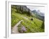 Highline Trail To Granite Park Chalet, Glacier National Park, Montana, USA-Jamie & Judy Wild-Framed Photographic Print