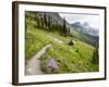 Highline Trail To Granite Park Chalet, Glacier National Park, Montana, USA-Jamie & Judy Wild-Framed Photographic Print