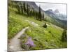 Highline Trail To Granite Park Chalet, Glacier National Park, Montana, USA-Jamie & Judy Wild-Mounted Photographic Print
