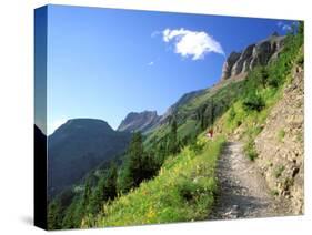 Highline Trail Traverses Under the Garden Wall, Glacier National Park, Montana, USA-Jamie & Judy Wild-Stretched Canvas