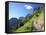 Highline Trail Traverses Under the Garden Wall, Glacier National Park, Montana, USA-Jamie & Judy Wild-Framed Stretched Canvas