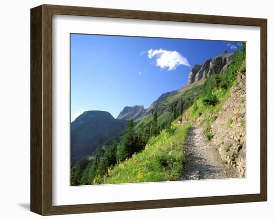 Highline Trail Traverses Under the Garden Wall, Glacier National Park, Montana, USA-Jamie & Judy Wild-Framed Photographic Print