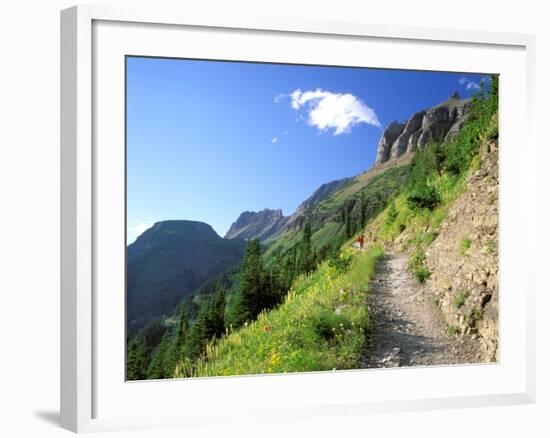 Highline Trail Traverses Under the Garden Wall, Glacier National Park, Montana, USA-Jamie & Judy Wild-Framed Photographic Print