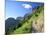 Highline Trail Traverses Under the Garden Wall, Glacier National Park, Montana, USA-Jamie & Judy Wild-Mounted Photographic Print