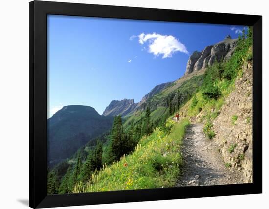 Highline Trail Traverses Under the Garden Wall, Glacier National Park, Montana, USA-Jamie & Judy Wild-Framed Photographic Print