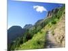 Highline Trail Traverses Under the Garden Wall, Glacier National Park, Montana, USA-Jamie & Judy Wild-Mounted Photographic Print