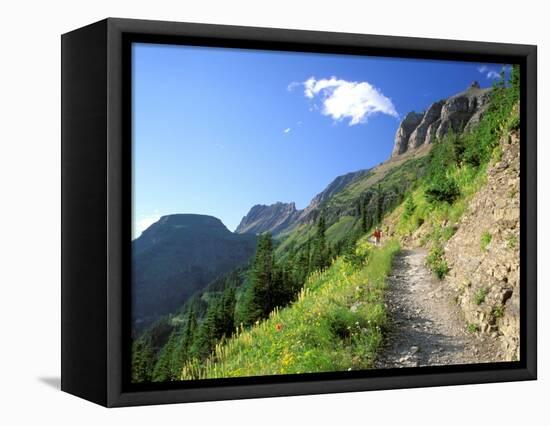 Highline Trail Traverses Under the Garden Wall, Glacier National Park, Montana, USA-Jamie & Judy Wild-Framed Stretched Canvas