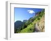 Highline Trail Traverses Under the Garden Wall, Glacier National Park, Montana, USA-Jamie & Judy Wild-Framed Photographic Print