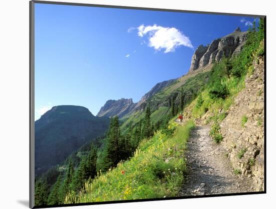 Highline Trail Traverses Under the Garden Wall, Glacier National Park, Montana, USA-Jamie & Judy Wild-Mounted Photographic Print