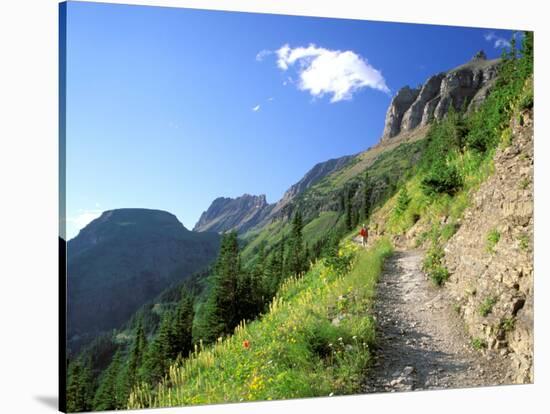 Highline Trail Traverses Under the Garden Wall, Glacier National Park, Montana, USA-Jamie & Judy Wild-Stretched Canvas