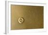 Highly Detailed Background Carved In Gold-Steve Collender-Framed Photographic Print