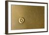 Highly Detailed Background Carved In Gold-Steve Collender-Framed Photographic Print