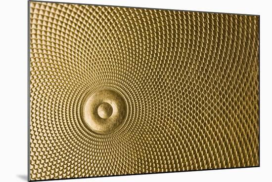 Highly Detailed Background Carved In Gold-Steve Collender-Mounted Photographic Print