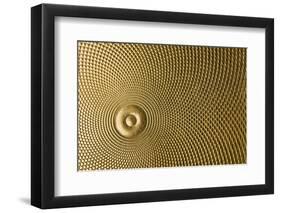 Highly Detailed Background Carved In Gold-Steve Collender-Framed Photographic Print