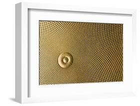 Highly Detailed Background Carved In Gold-Steve Collender-Framed Photographic Print