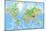 Highly Detailed Physical World Map with Labeling. Vector Illustration.-Bardocz Peter-Mounted Art Print