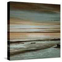 Hightide-John Seba-Stretched Canvas