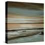 Hightide-John Seba-Stretched Canvas