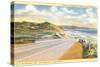 Highway 101 in Southern California, Torrey Pines-null-Stretched Canvas