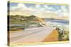 Highway 101 in Southern California, Torrey Pines-null-Stretched Canvas