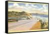 Highway 101 in Southern California, Torrey Pines-null-Framed Stretched Canvas