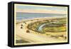 Highway 101 in Southern California, Torrey Pines-null-Framed Stretched Canvas