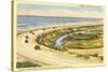 Highway 101 in Southern California, Torrey Pines-null-Stretched Canvas