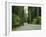 Highway 101 Through Redwoods-James Randklev-Framed Premium Photographic Print