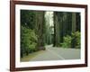 Highway 101 Through Redwoods-James Randklev-Framed Photographic Print