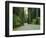 Highway 101 Through Redwoods-James Randklev-Framed Photographic Print