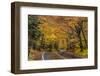 Highway 41 covered roadway in autumn near Copper Harbor in the Upper Peninsula of Michigan, USA-Chuck Haney-Framed Photographic Print