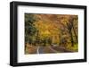 Highway 41 covered roadway in autumn near Copper Harbor in the Upper Peninsula of Michigan, USA-Chuck Haney-Framed Photographic Print