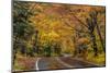 Highway 41 covered roadway in autumn near Copper Harbor in the Upper Peninsula of Michigan, USA-Chuck Haney-Mounted Photographic Print
