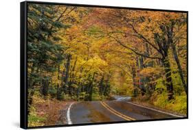 Highway 41 covered roadway in autumn near Copper Harbor in the Upper Peninsula of Michigan, USA-Chuck Haney-Framed Stretched Canvas