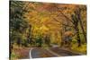 Highway 41 covered roadway in autumn near Copper Harbor in the Upper Peninsula of Michigan, USA-Chuck Haney-Stretched Canvas